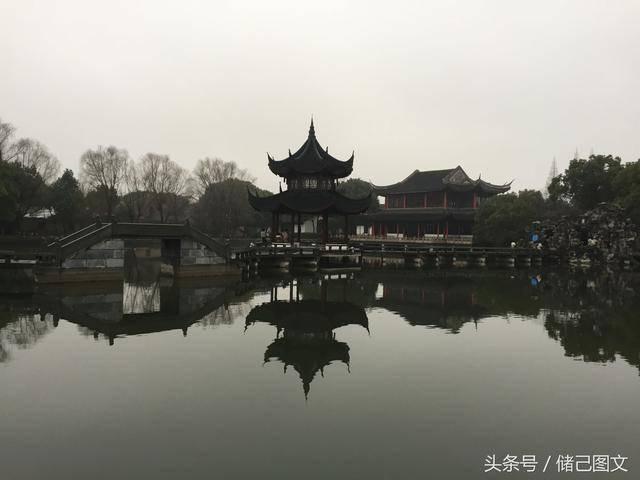 学习插花艺术